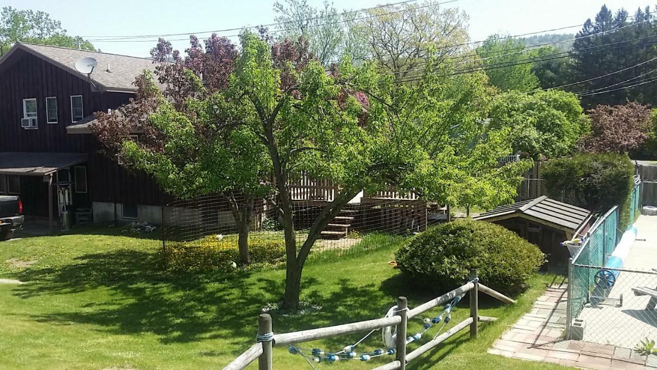 Nassau Motel Lac George Extérieur photo
